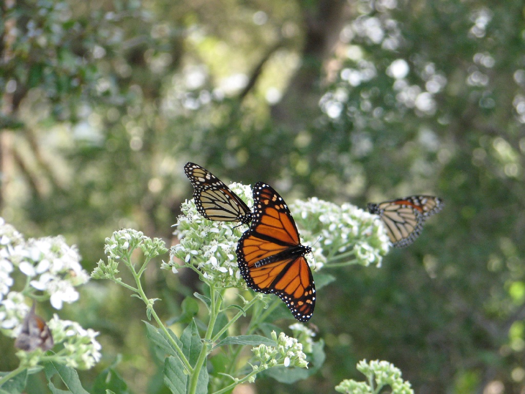 20100206 555.JPG